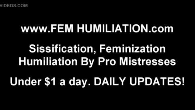 I love humiliating you like the sissy you are